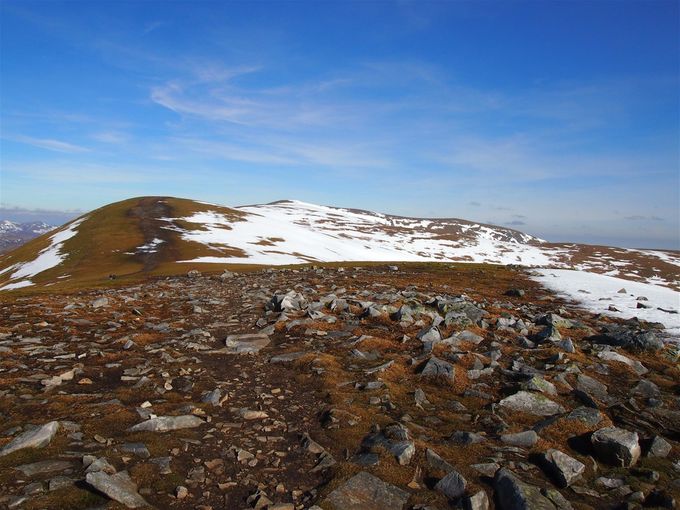 The summit plateau of Ben Wyvis. Photo Colin Matheson