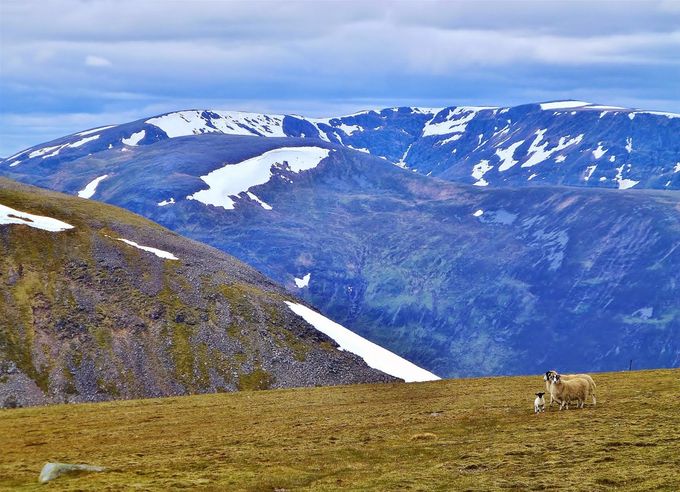 View from A' Mharconaich looking at Ben Alder with Beinn Bheoil ridge in front. Photo https://big-gorse-bush.blogspot.com/